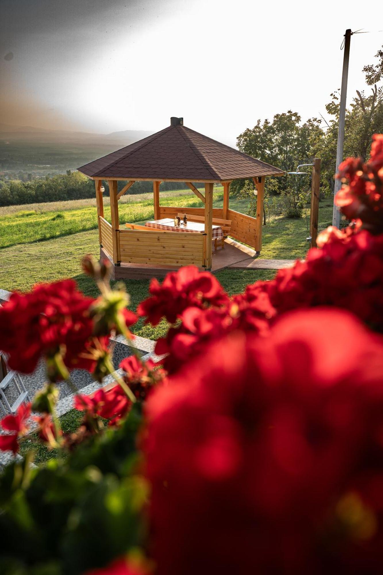 Zlatni Prag - Kraljevo Villa Ngoại thất bức ảnh